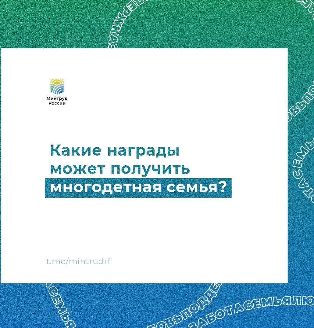 Какие награды может получить многодетная семья.