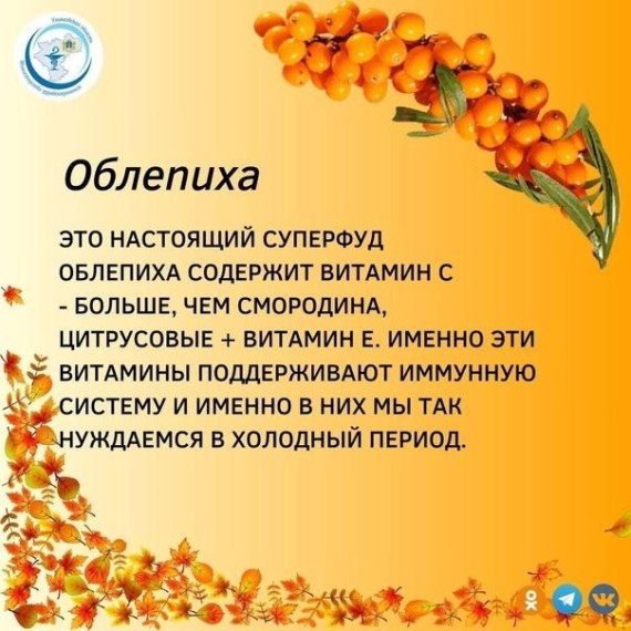 как поддерживать свое здоровье и питаться с комфортом осенью. как поддерживать свое здоровье и питаться с комфортом осенью.
