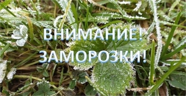 Предупреждение об ухудшении погодных условий (ОЯ). Предупреждение об ухудшении погодных условий (ОЯ).