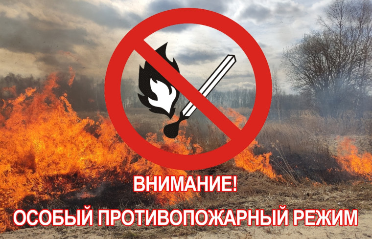 Пребывание граждан в лесах запрещено!. Пребывание граждан в лесах запрещено!.